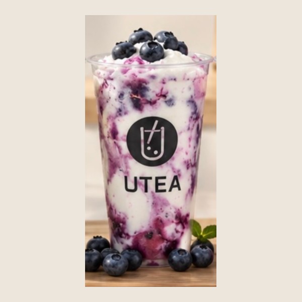 Blueberry Yogurt